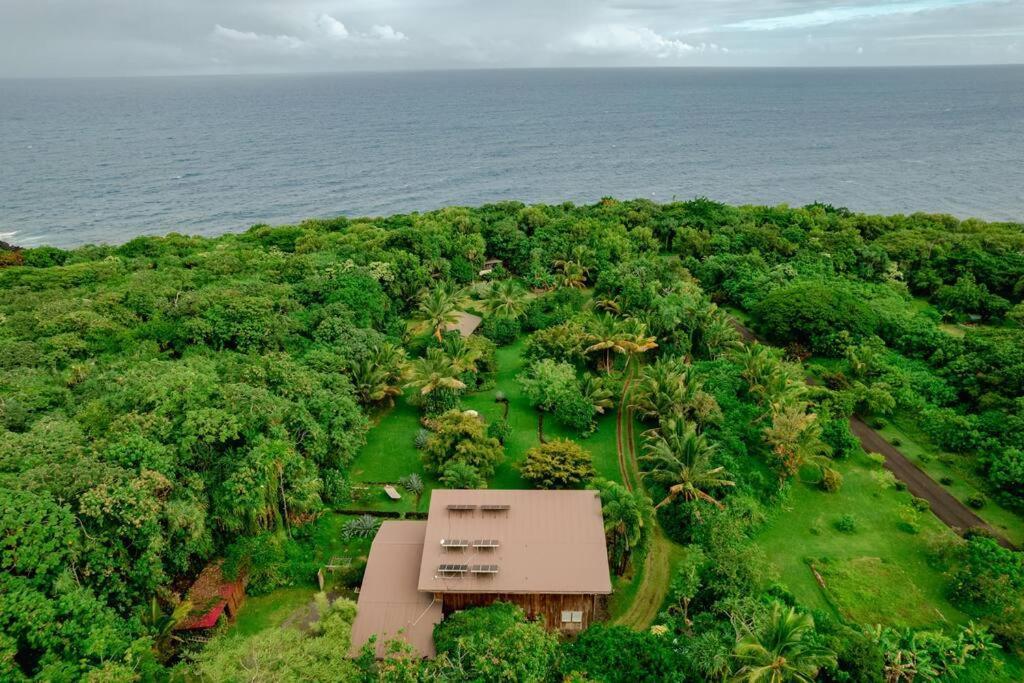 Jungle Haven Ocean Front Eco Villa On Fruit Farm Pahoa Esterno foto