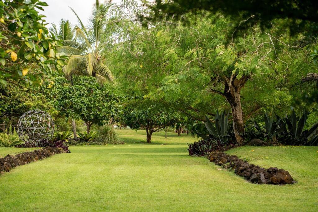 Jungle Haven Ocean Front Eco Villa On Fruit Farm Pahoa Esterno foto