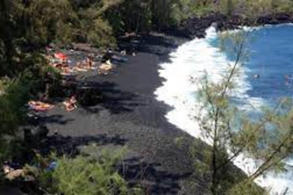 Jungle Haven Ocean Front Eco Villa On Fruit Farm Pahoa Esterno foto