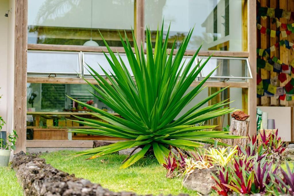 Jungle Haven Ocean Front Eco Villa On Fruit Farm Pahoa Esterno foto