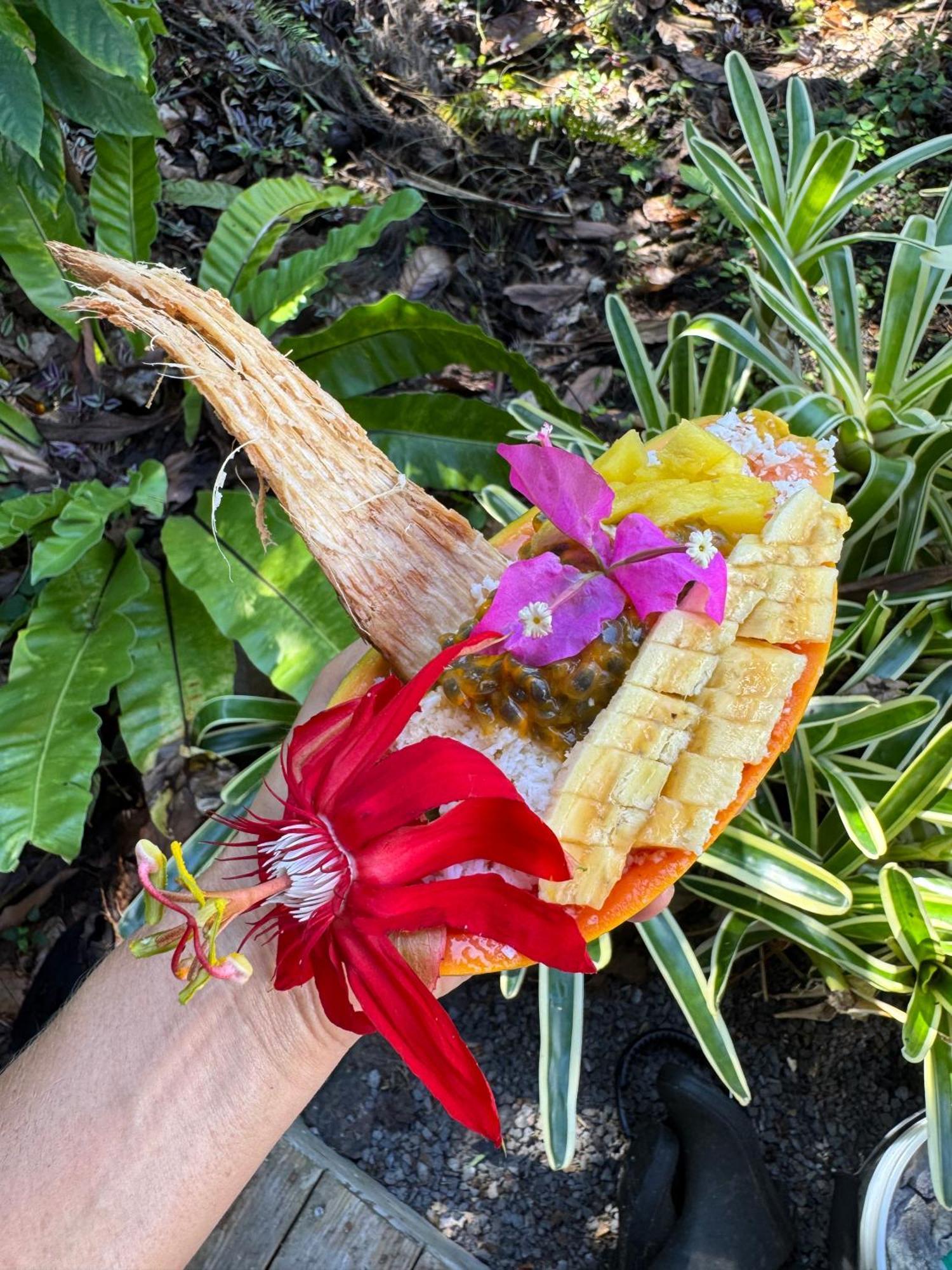 Jungle Haven Ocean Front Eco Villa On Fruit Farm Pahoa Esterno foto