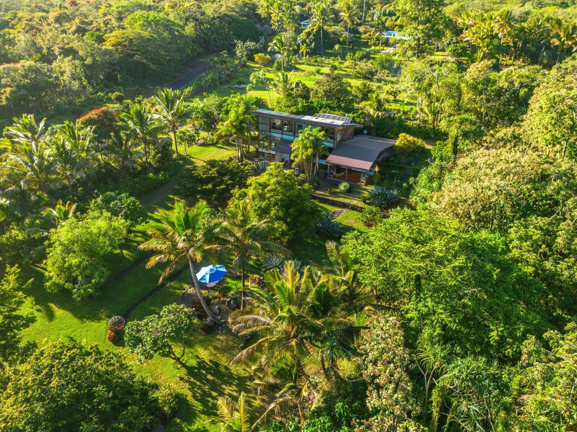 Jungle Haven Ocean Front Eco Villa On Fruit Farm Pahoa Esterno foto