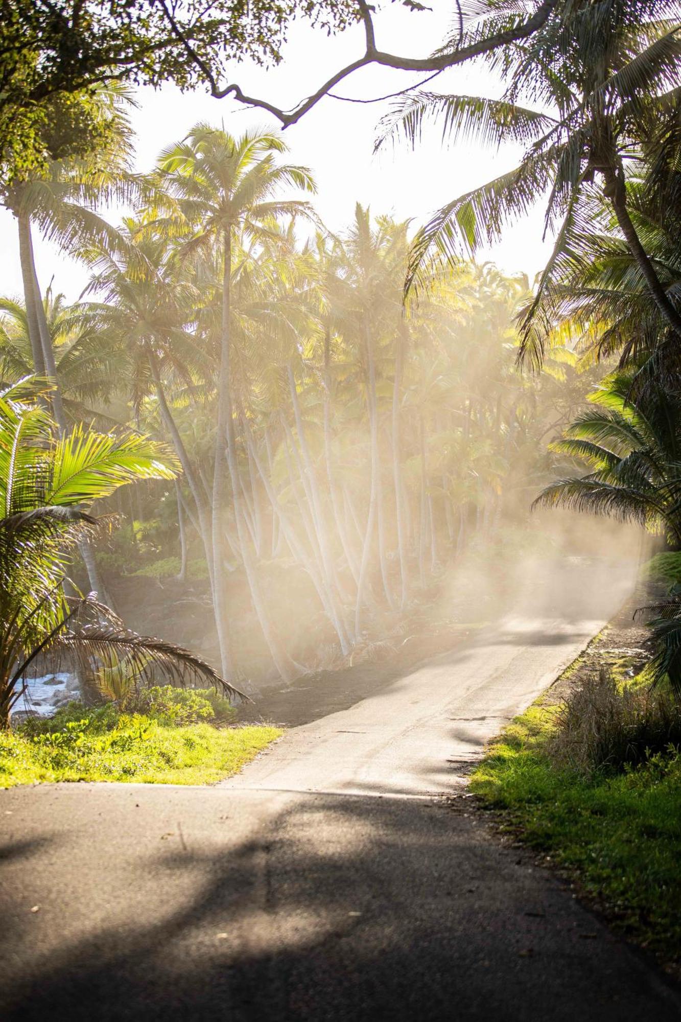 Jungle Haven Ocean Front Eco Villa On Fruit Farm Pahoa Esterno foto